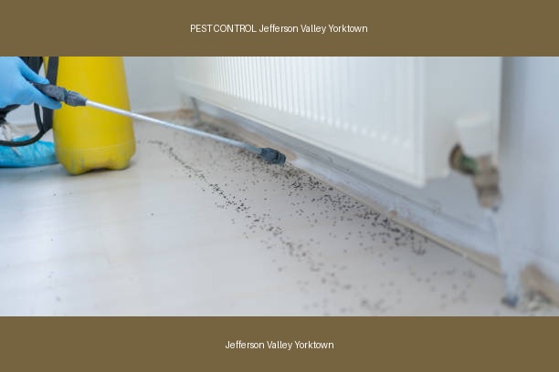 PEST CONTROL Jefferson Valley Yorktown